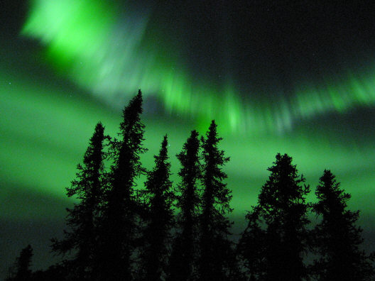 Aurora
