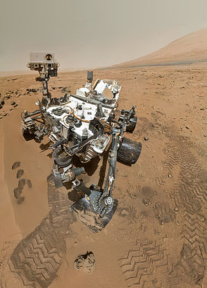 Curiosity Selfie