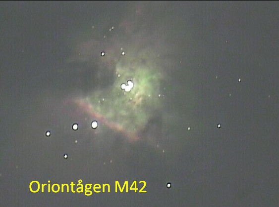 M42