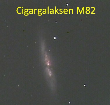 M81